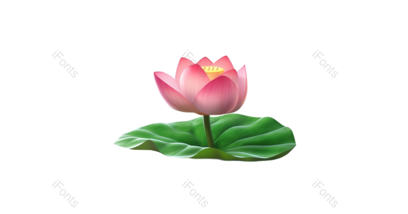 夏至图片,清新元素,荷花PNG,夏天免抠素材